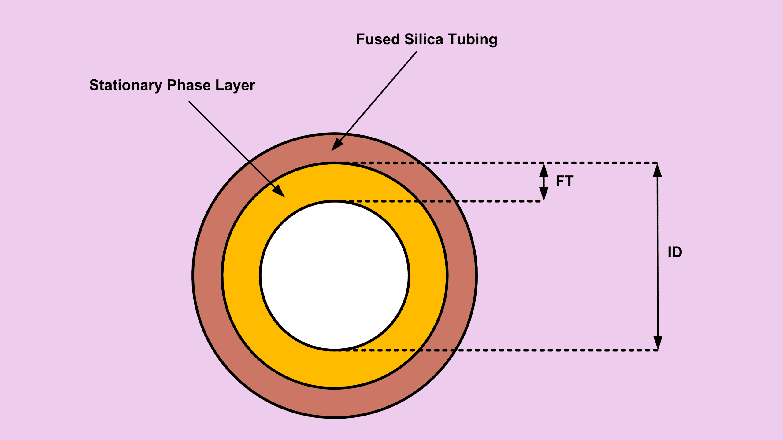 GC column characteristics capillary column cross section showing stationary phase and film thickness